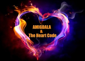 AMIGDALAANDTHEHEARTCODE