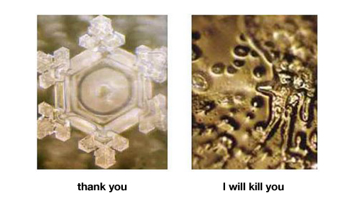 water-words-emoto